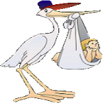 Birth Announcements